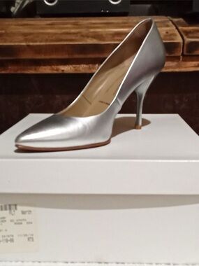 Anastasia Metallic Silver Pointed-Toe Stiletto Pump